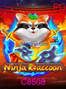 NinjaRaccoon
